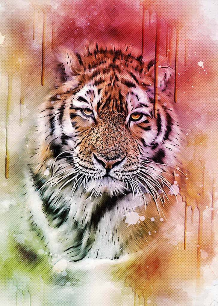 Фотообои Грациозный тигр